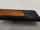 Front fender indicator light