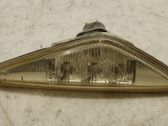 Front fender indicator light