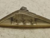 Front fender indicator light