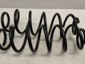 Muelle espiral trasero