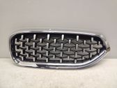 Front grill