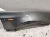 Fender