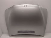 Engine bonnet/hood