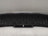 Front bumper upper radiator grill