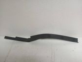 Rear sill trim cover