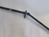 Drive shaft (set)