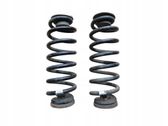 Rear coil spring