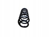 Rear coil spring