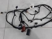 Other wiring loom