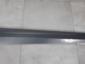 Front door trim (molding)