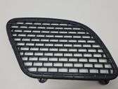 Ziergitter Motorhaube