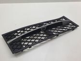 Front bumper lower grill