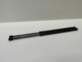 Tailgate/trunk strut/damper