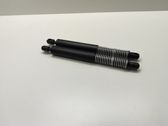 Tailgate/trunk strut/damper
