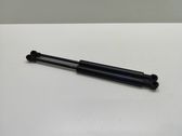 Front bonnet/hood damper/strut
