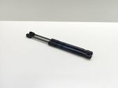 Front bonnet/hood damper/strut