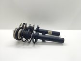 Front shock absorber with coil spring