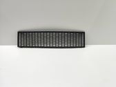 Front bumper lower grill