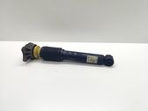 Rear shock absorber/damper