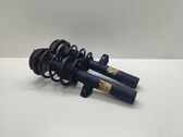 Front shock absorber with coil spring