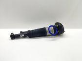 Shock absorber/damper/air suspension