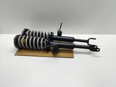 Front shock absorber with coil spring