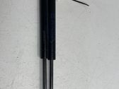 Tailgate/trunk strut/damper