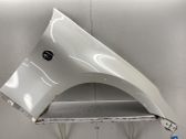 Fender