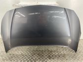 Engine bonnet/hood
