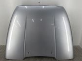Engine bonnet/hood