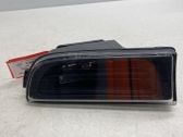 Front fender indicator light