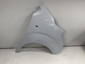 Fender