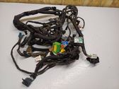 Other wiring loom