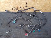 Faisceau de câblage pour moteur