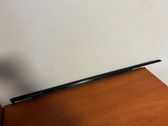 Front door glass trim molding