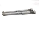 Rear shock absorber/damper