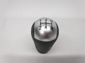 Gear shift switch/knob