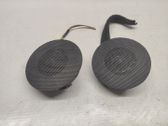Panel speaker