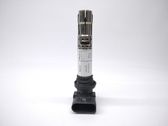 Bobine d'allumage haute tension