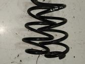 Rear coil spring