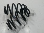Rear coil spring