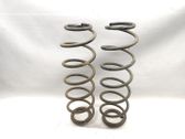 Rear coil spring