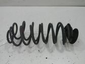 Rear coil spring