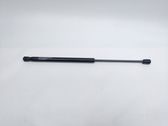 Tailgate/trunk strut/damper