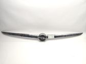 Tailgate/trunk side cover trim