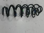 Rear coil spring