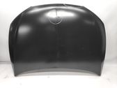 Engine bonnet/hood