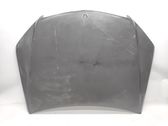 Engine bonnet/hood