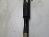 Stoßdämpfer hinten
