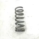 Rear coil spring